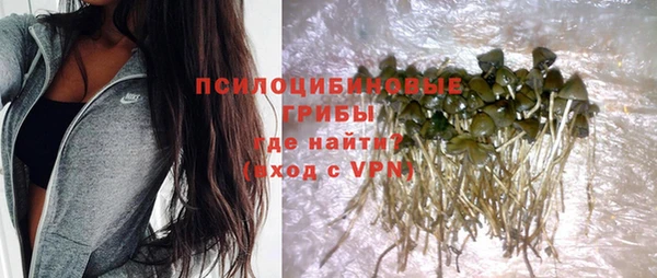 амфетамин Осинники