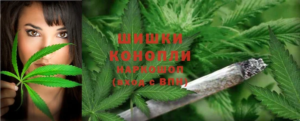 PSILOCYBIN Остров